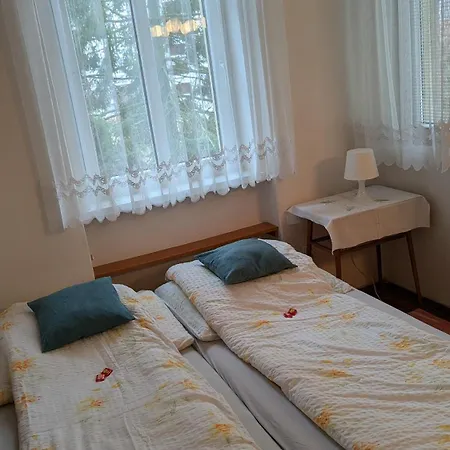 Pension Central Daire *